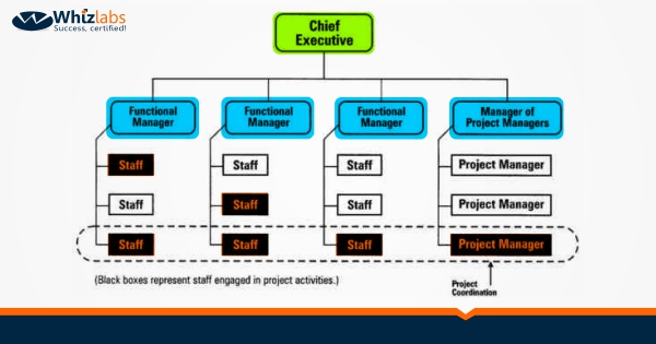 Functional Organization Whizlabs Blog