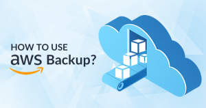 How to Create a Backup Plan using AWS Backup Service? - Whizlabs Blog