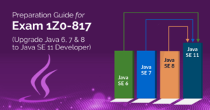 Interactive 1Z0-819 EBook