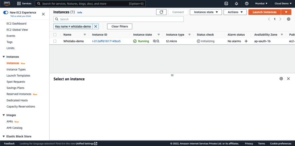 What Is Amazon EC2 (Elastic Compute Cloud)? - Whizlabs Blog