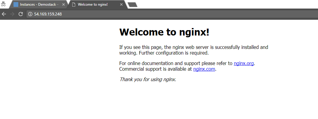 ngnix web server